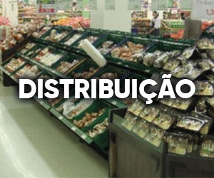 distribuicao